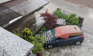 windshield protection